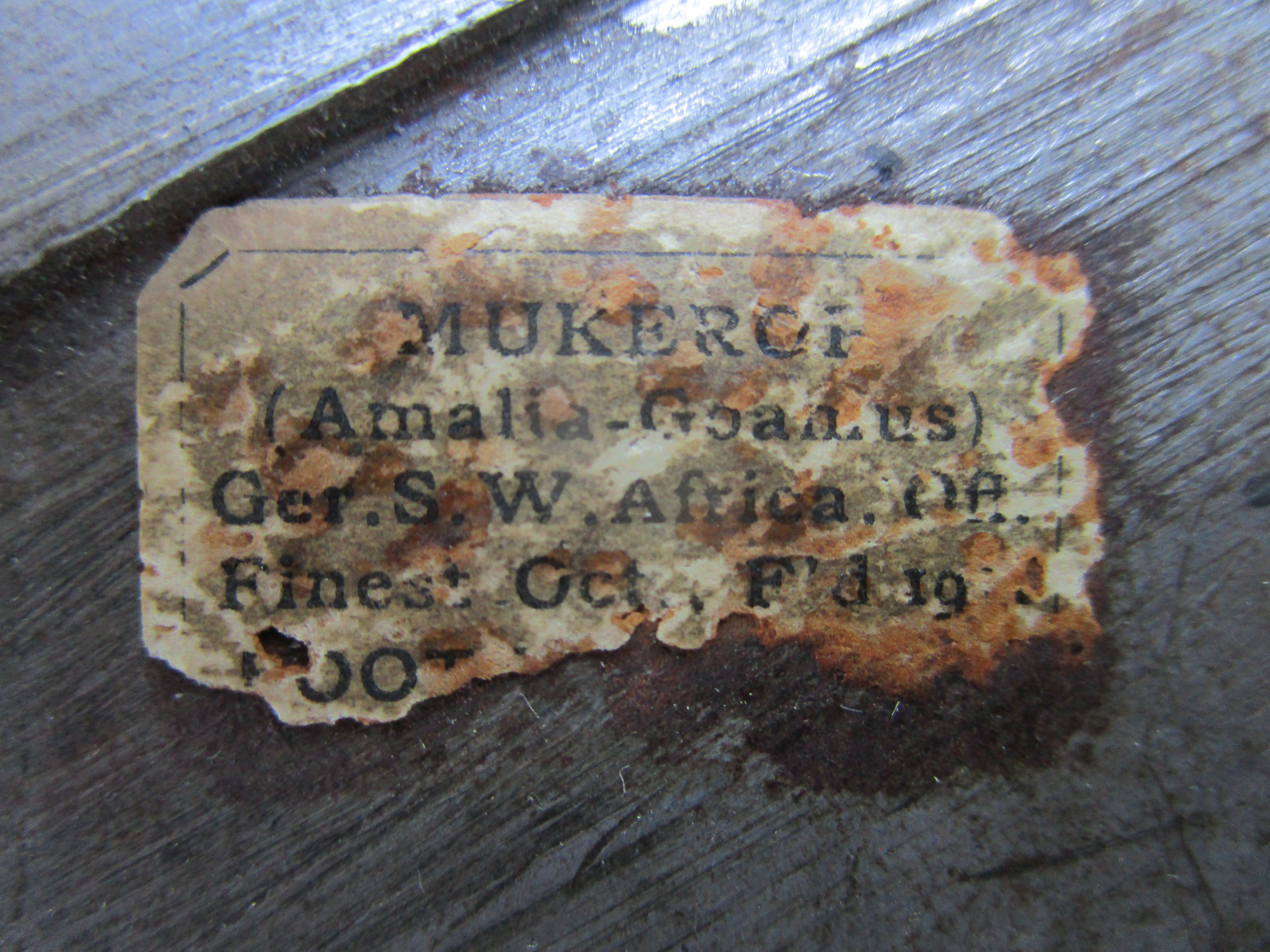 A partially obscured label is seen on the back of the fragment. 