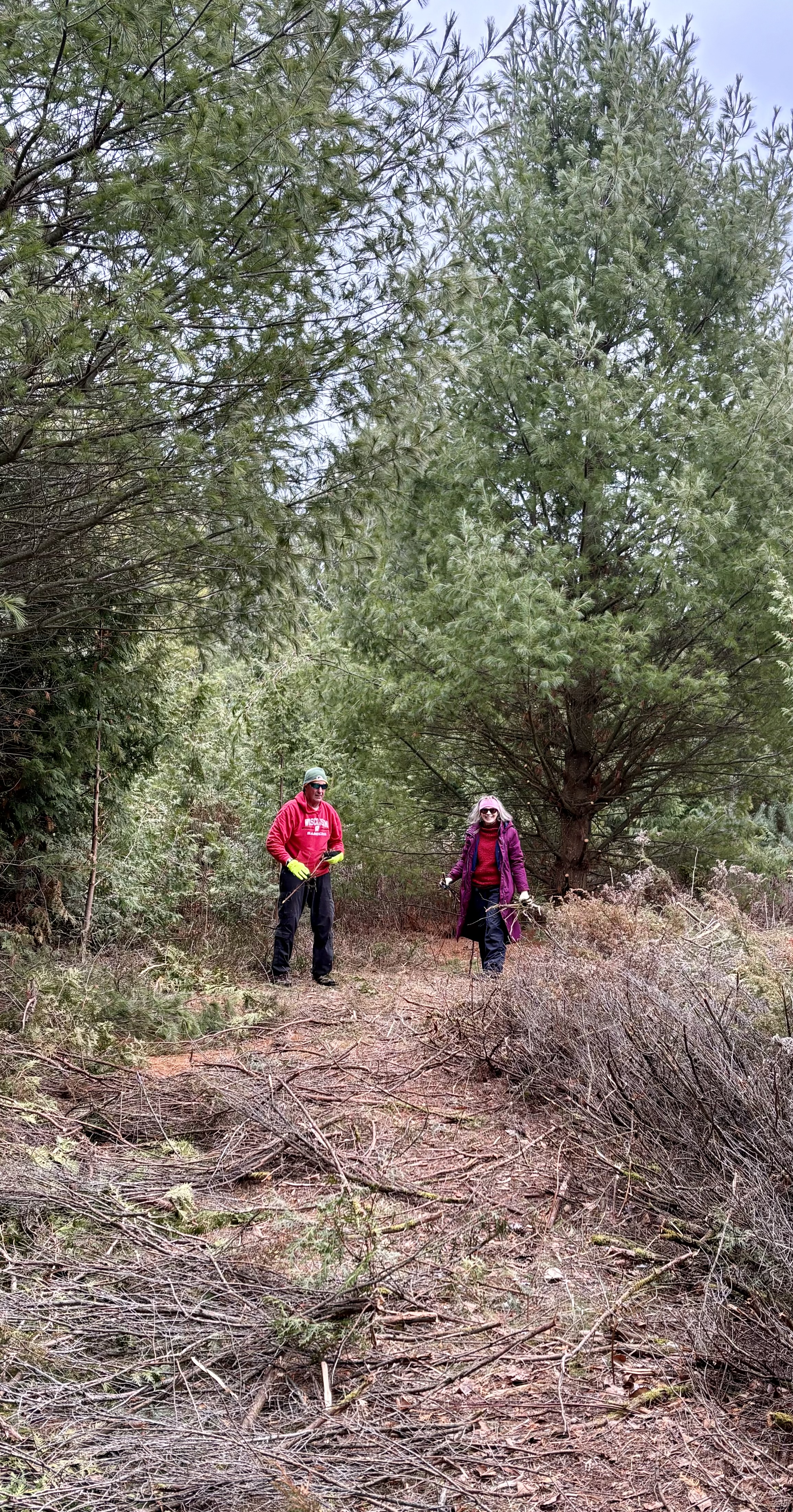 Volunteers doing trail work at Bjorklunden