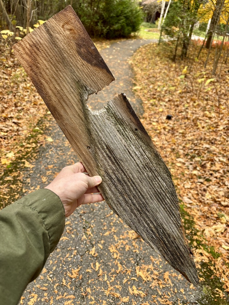 Sample shingle