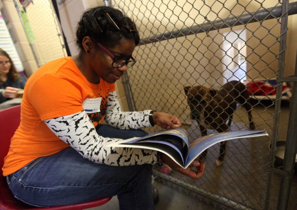 Taylor Blackson ’20 volunteers to support animal welfare