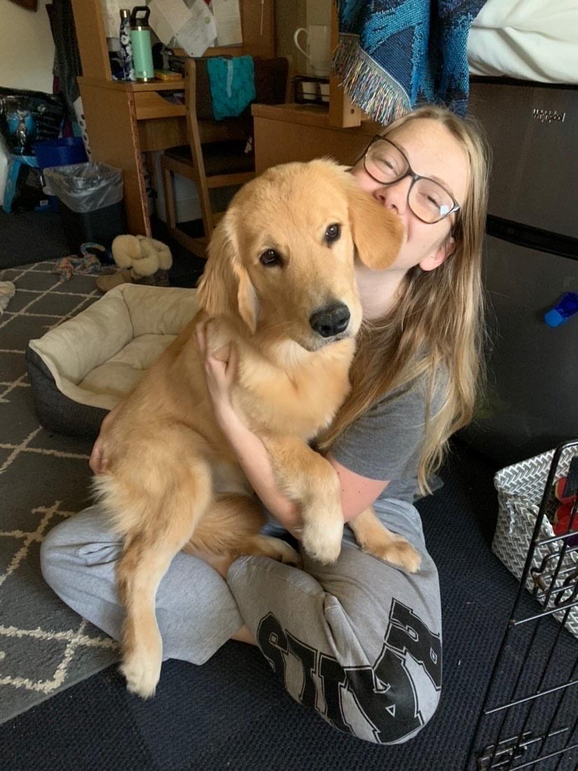 Willard, the service-dog-in-training