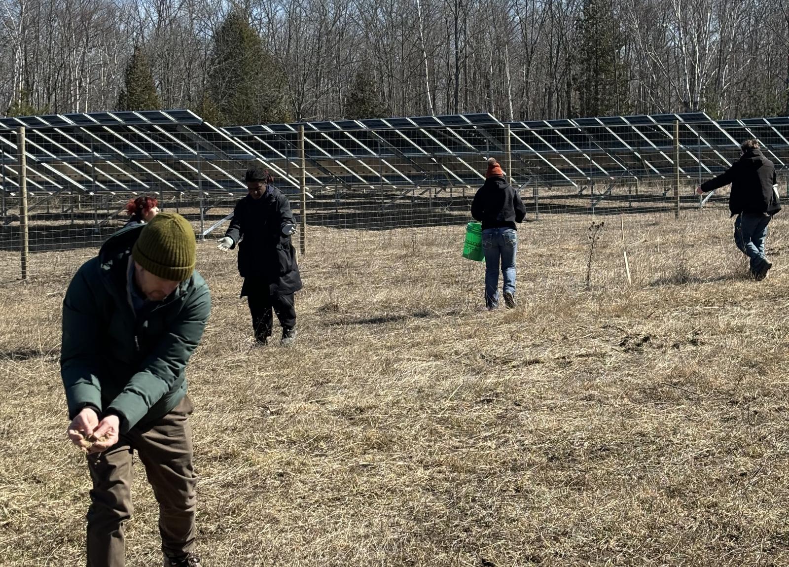 a group of people spreading seeds around a solar field