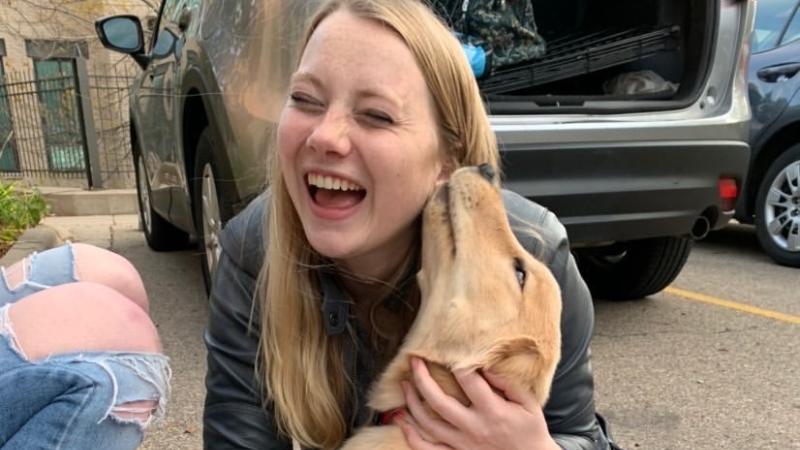Willard: This service-dog-in-training