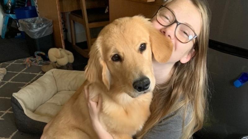 Willard, the service-dog-in-training