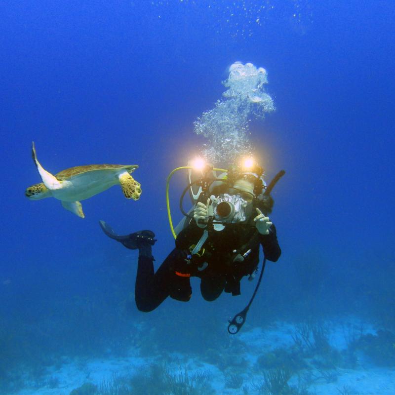 woman scuba diver taking underwater photo of a green sea turtle