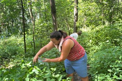 Friestad and Polanka search through the woods behind Trever Hall.